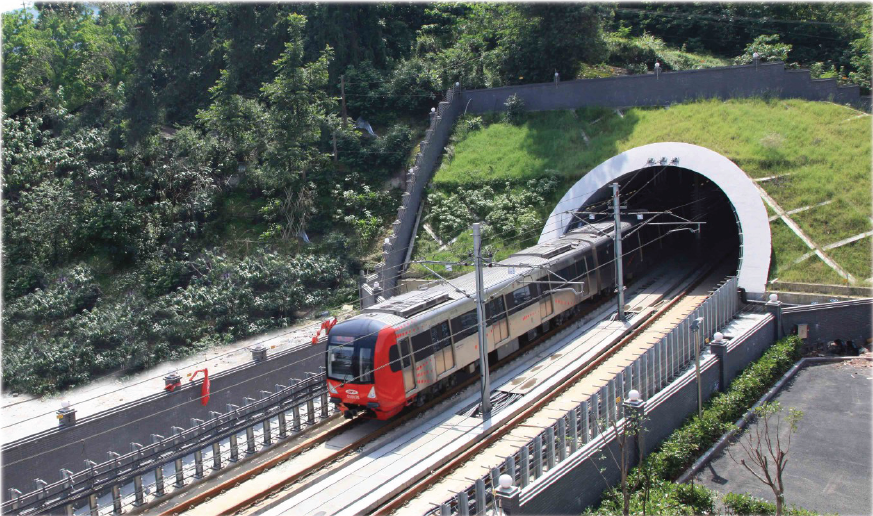 1678361857741852.jpg 1678361438653.jpg