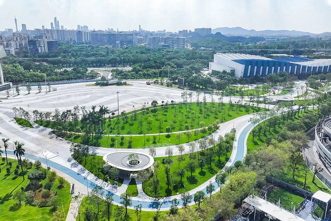 ▲场馆区的系统性绿化改造维护